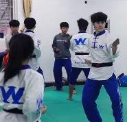 九游娱乐-跆拳道夜战：陇右银狐队强势横扫皖江猎隼队，速度优势明显新人首发惊艳(散打和跆拳道哪个更实用)